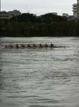 130.8-Man rowing team practing on the Brisbane River, looking N towards the Queensland Univ of Tech