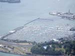 283.Westhaven Marina, N side of Auckland City Center (looking  E)