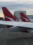 244e.Qantas tails, at the gates, Sydney Int'l