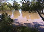244l.River flowing through Wagga Wagga, NSW, at well above flood stage
