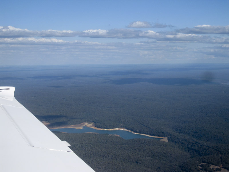 231.Mundaring State Forest, SE of Perth, looking SE
