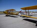 240.DeHavilland Tiger Moths & Chipmunk at the Royal Aero Flying Club, Jandakot Airport, Perth